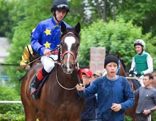 Мини-отель Crazy Horse Алматы-4