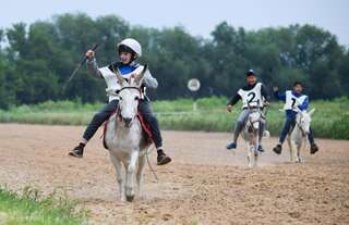 Мини-отель Crazy Horse Алматы-6